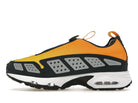 Air Max Sunder Canyon Gold